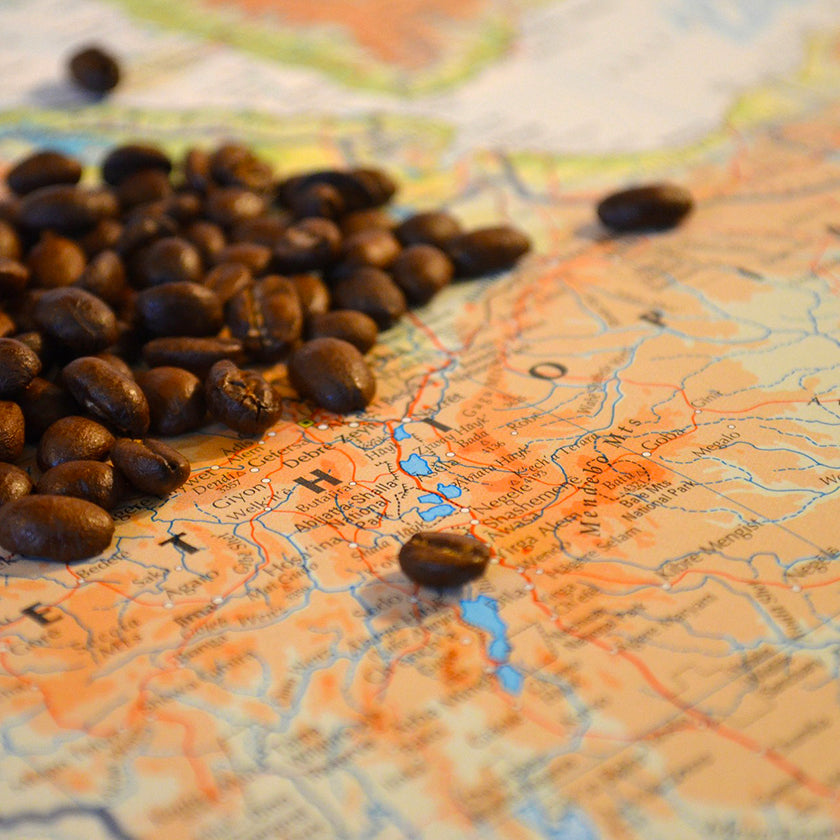 Why Does ԳAVAT Armenian Coffee Use Beans From Ethiopia?